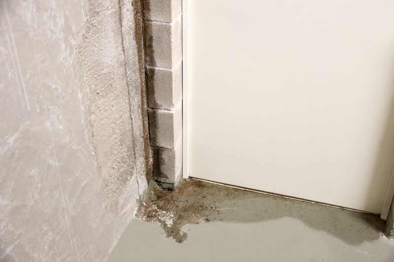 Basement Wall Fixes